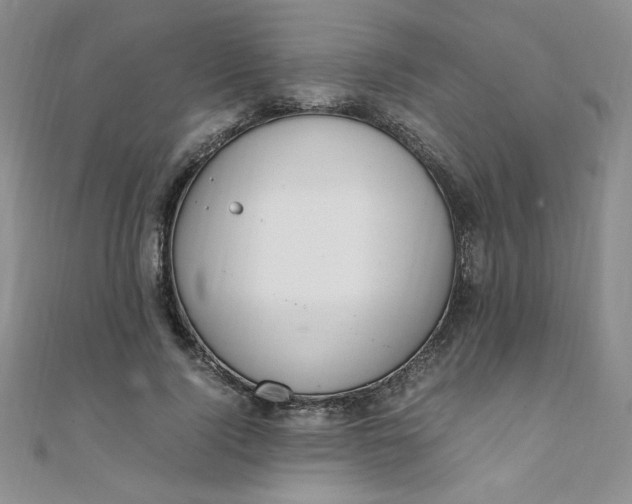 X0000108480740200904171610