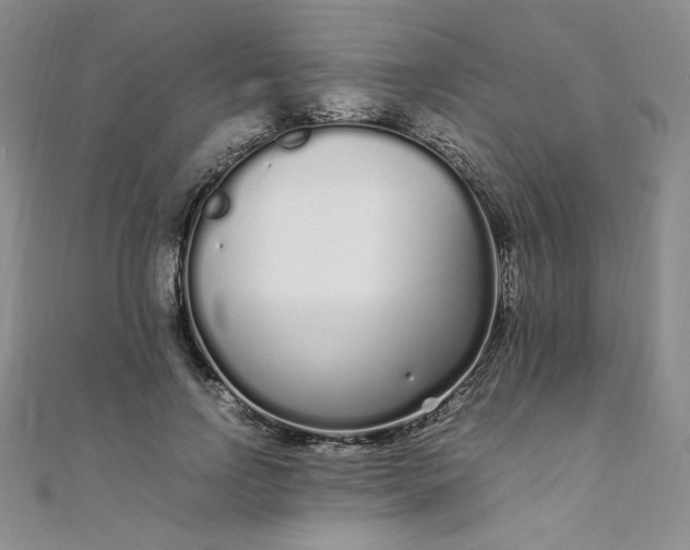 X0000108480742200904171610