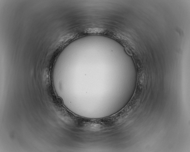 X0000108480743200904171610