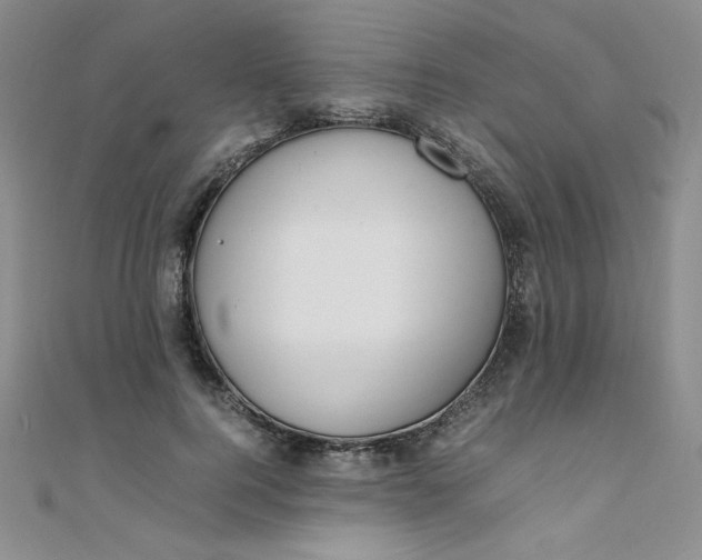 X0000108480744200904171610