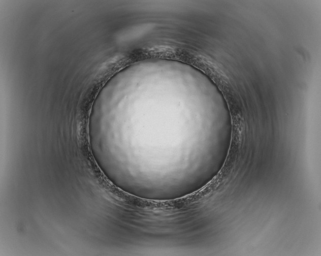 X0000108480745200904171610