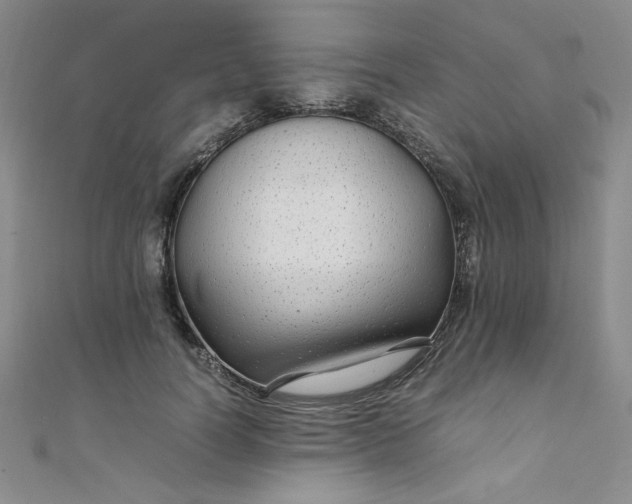 X0000108480746200904171610