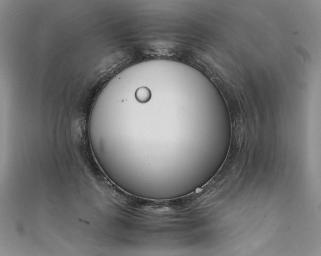 X0000108480747200904171610