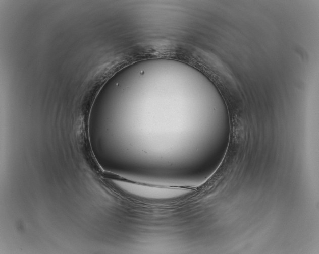 X0000108480748200904171610