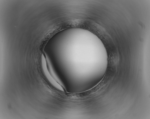 X0000108480750200904171610