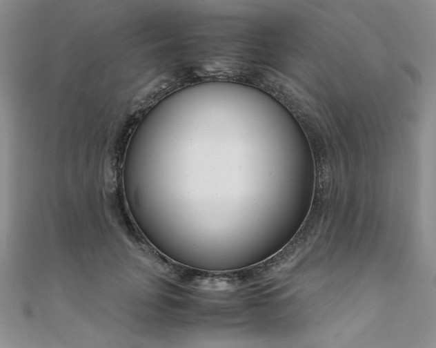 X0000108480751200904171610