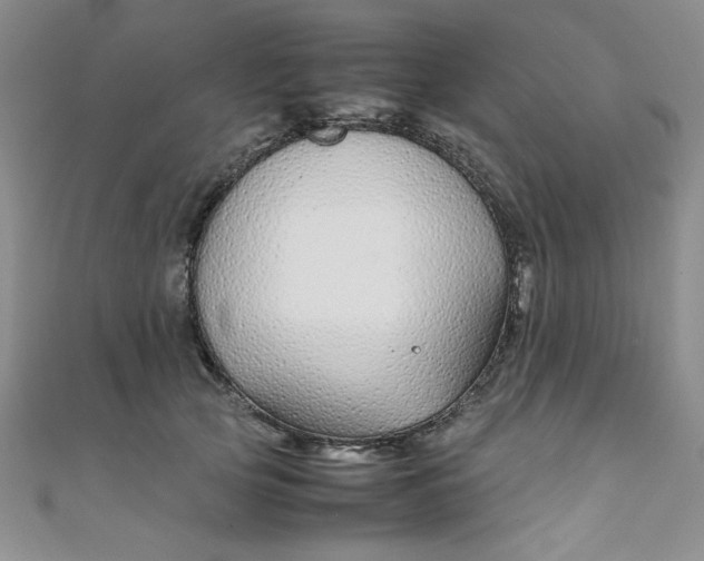 X0000108480753200904171611