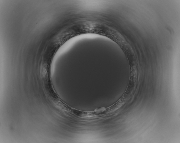 X0000108480754200904171611