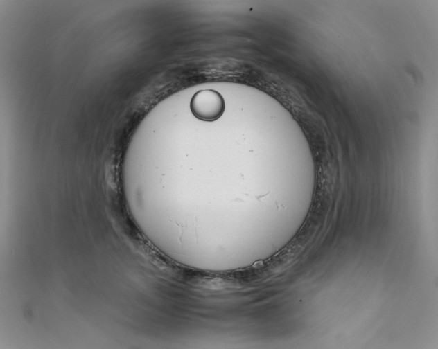 X0000108480755200904171611