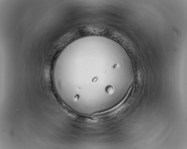 X0000108480757200904171611