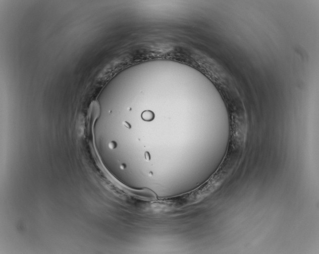 X0000108480758200904171611