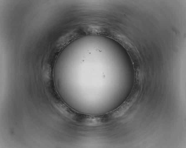 X0000108480760200904171611