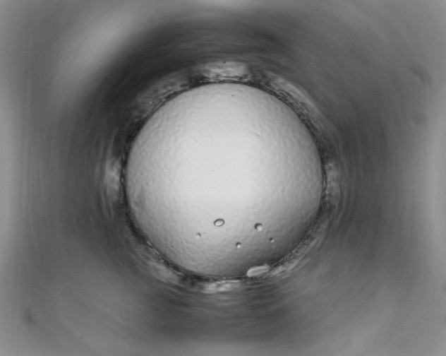 X0000108480761200904171611