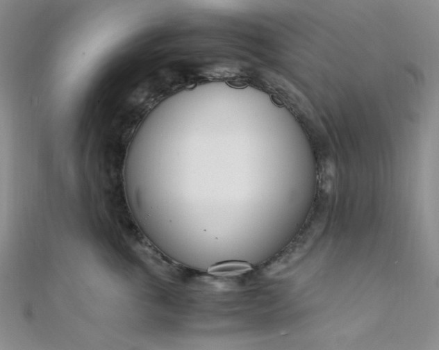 X0000108480763200904171611