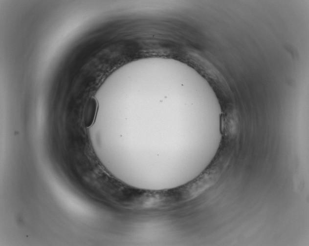 X0000108480764200904171611