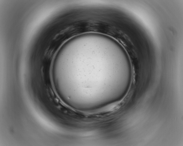 X0000108480765200904171611