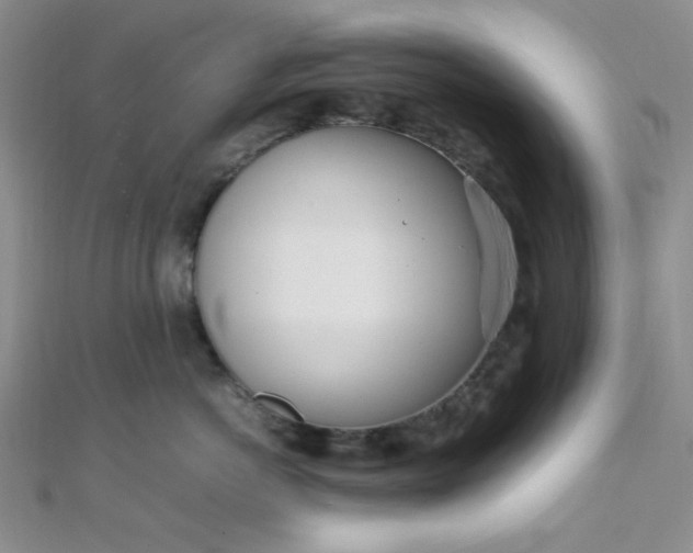X0000108480766200904171611