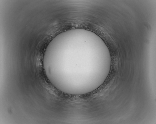 X0000108480770200904171610