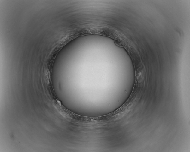 X0000108480772200904171610