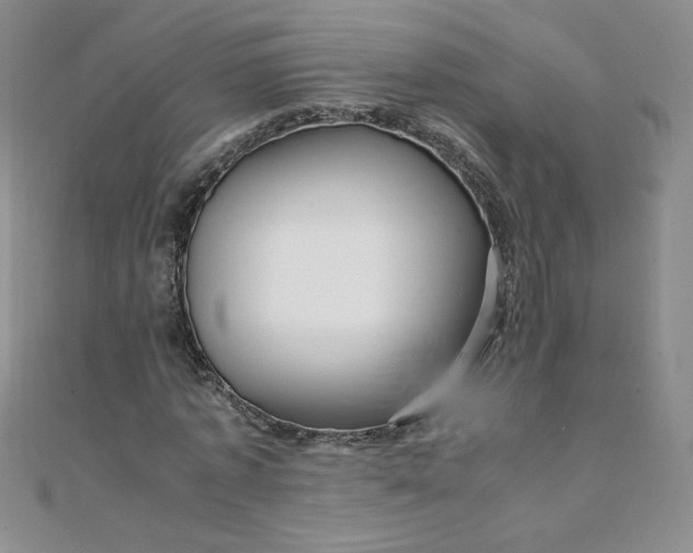 X0000108480773200904171610