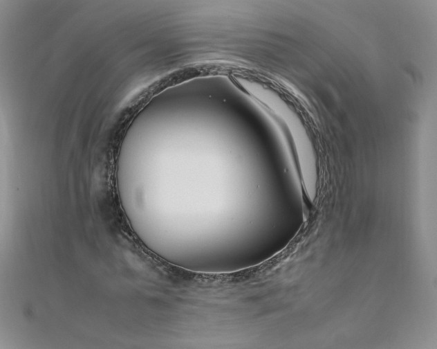 X0000108480775200904171610