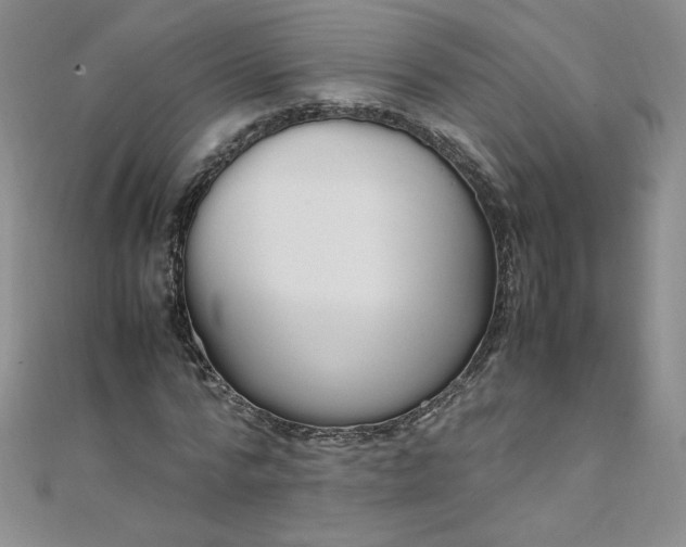 X0000108480776200904171610