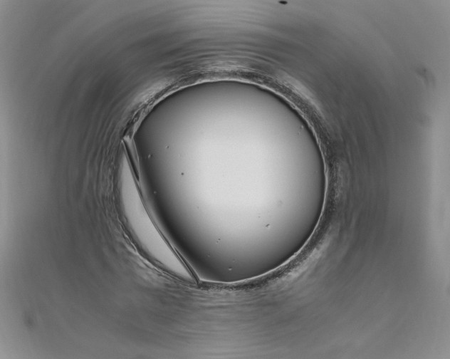 X0000108480777200904171610