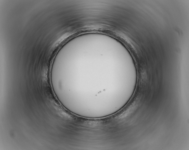 X0000108480778200904171610