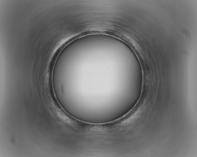 X0000108480779200904171610