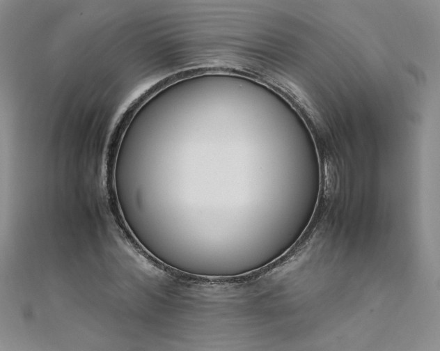 X0000108480780200904171610