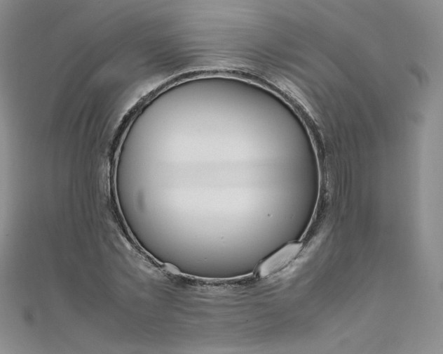 X0000108480781200904171610