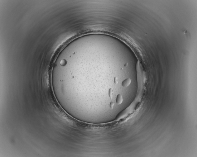 X0000108480782200904171610