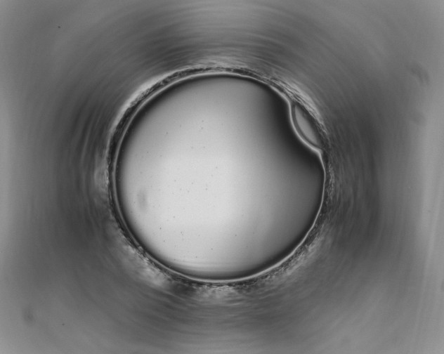 X0000108480784200904171610
