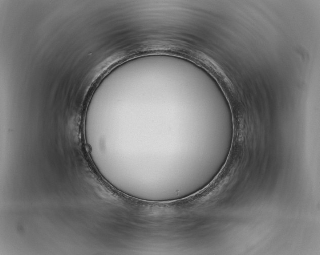 X0000108480786200904171610