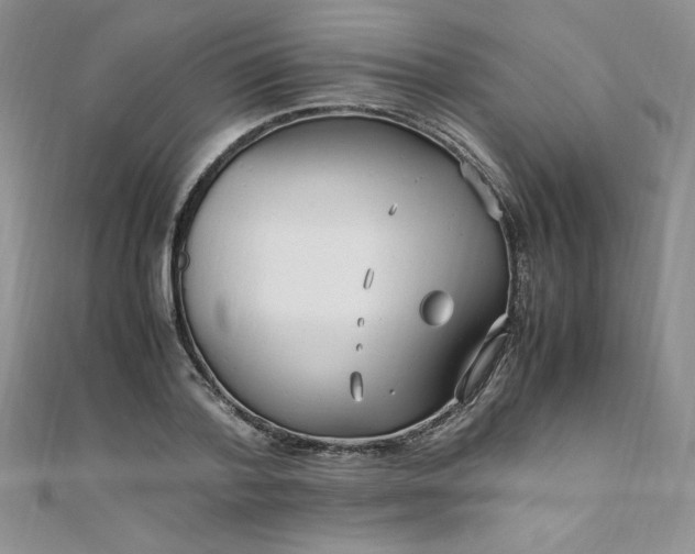 X0000108480788200904171610