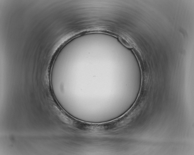 X0000108480789200904171610