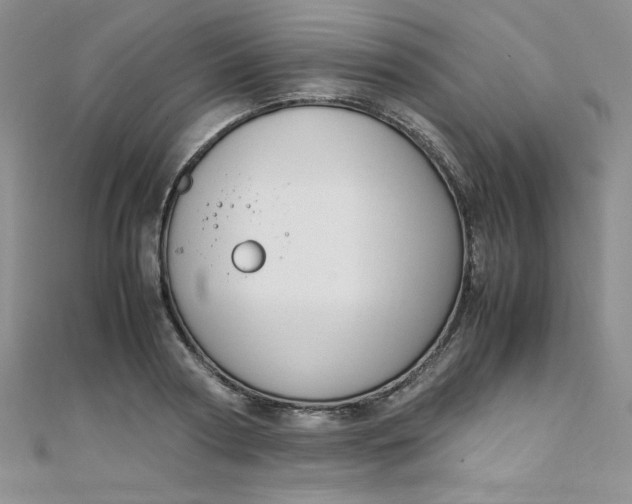 X0000108480794200904171610