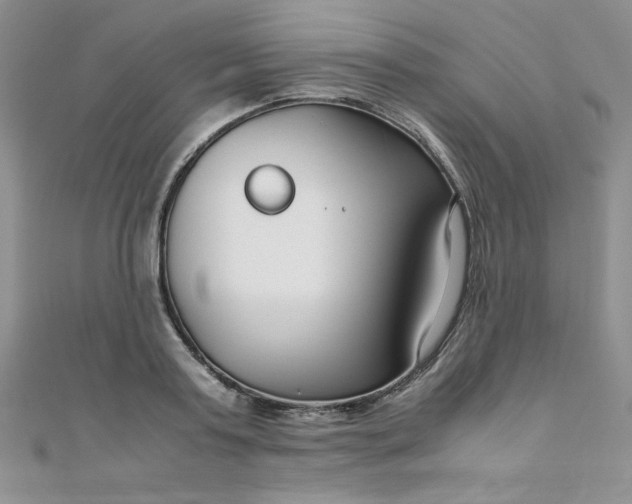 X0000108480795200904171610