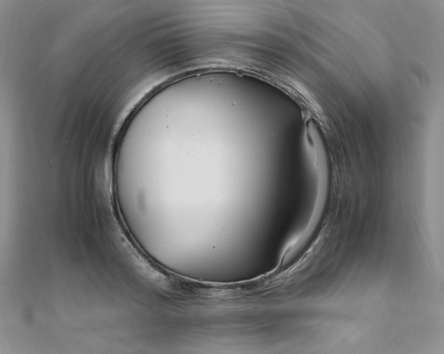 X0000108480796200904171610