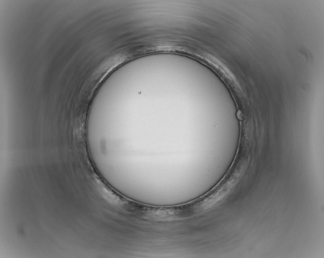 X0000108480801200904171610