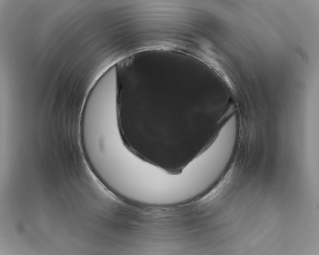 X0000108480802200904171610