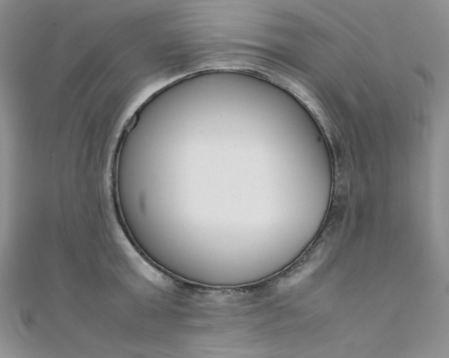 X0000108480803200904171610