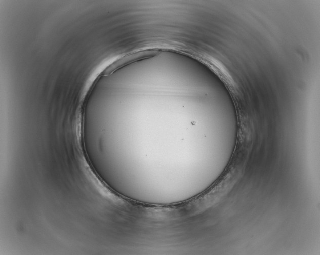 X0000108480804200904171610