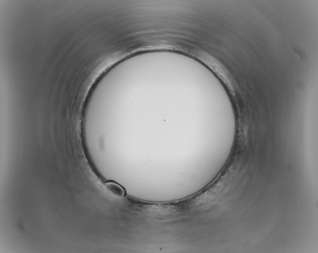 X0000108480805200904171610