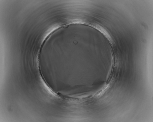 X0000108480806200904171610
