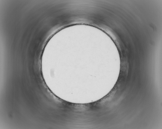 X0000108480807200904171609