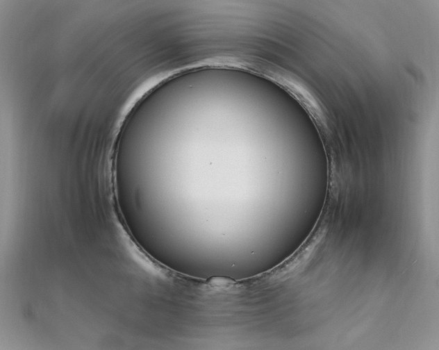 X0000108480808200904171609