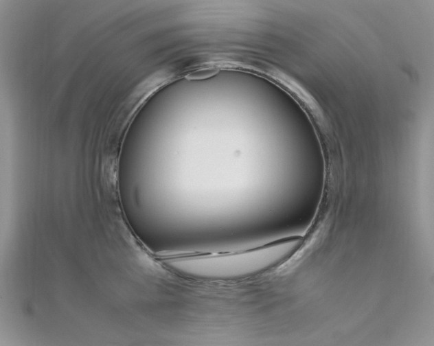 X0000108480809200904171609
