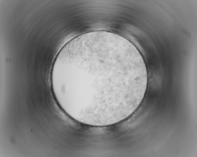 X0000108480810200904171609