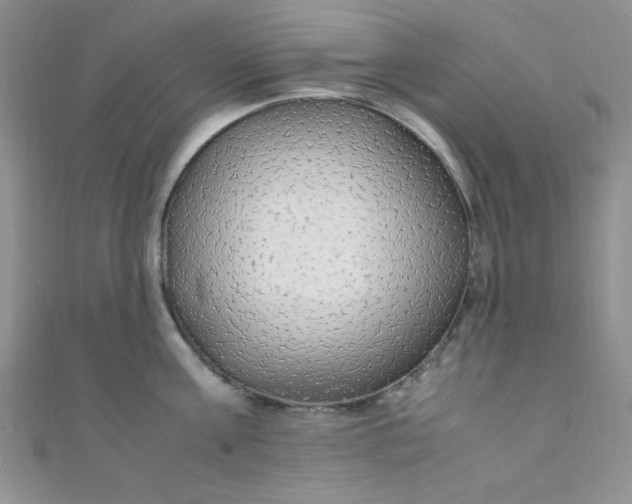 X0000108480811200904171609